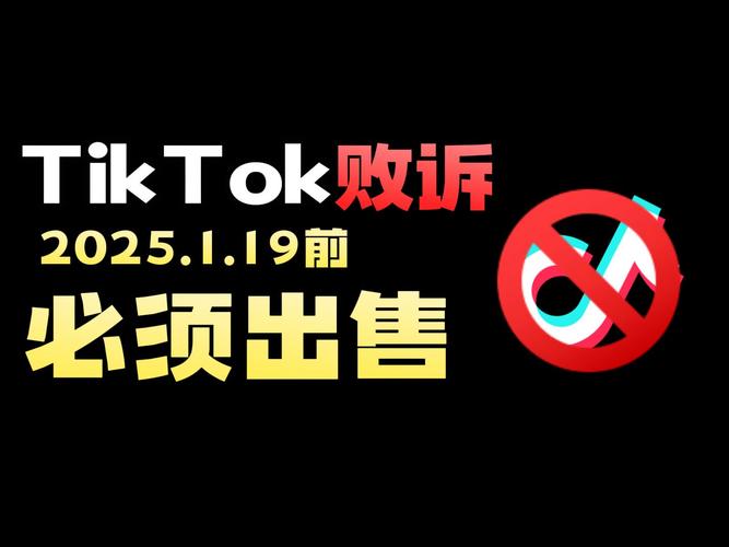 TikTok美国关闭倒计时！Perplexity AI的合并提案能否改写命运？  第3张