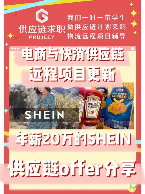 SHEIN为何重金布局越南？背后隐藏的供应链大棋局曝光  第7张