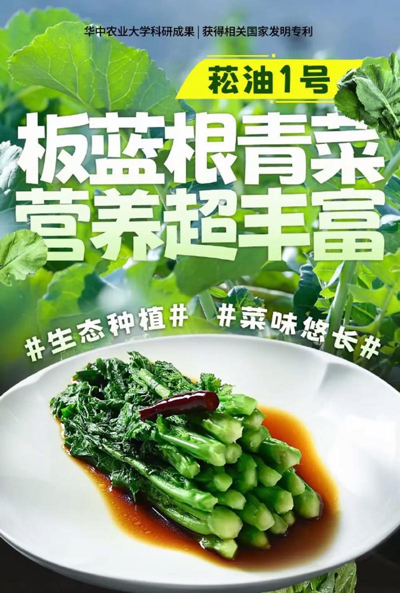 板蓝根青菜竟然超越香椿，成为春菜新宠！你尝过了吗？  第4张