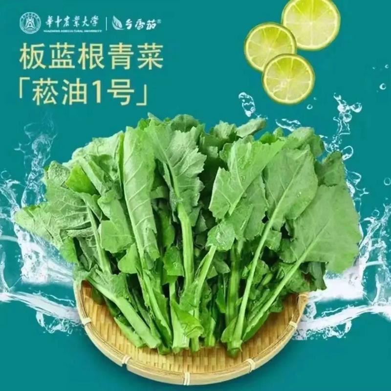 板蓝根青菜竟然超越香椿，成为春菜新宠！你尝过了吗？  第6张