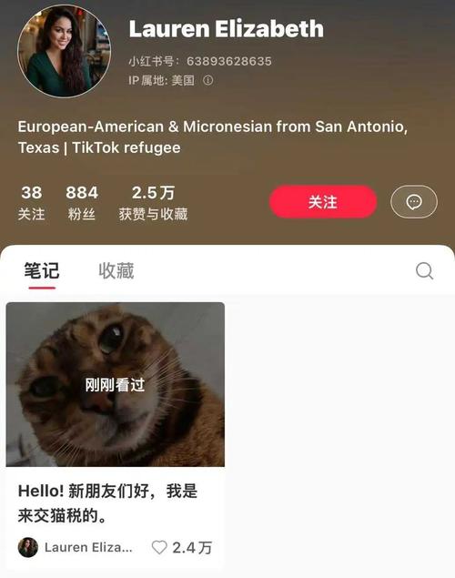 Tik Tok难民为何纷纷涌入小红书？背后原因令人  第9张