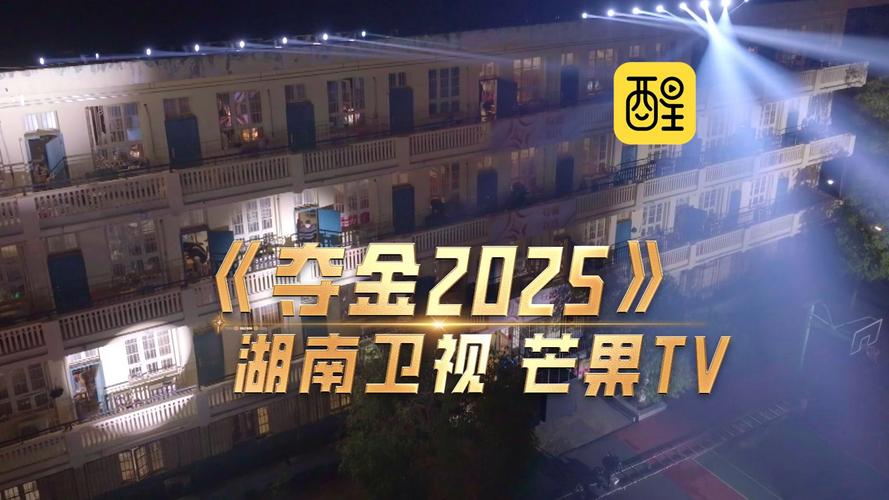 夺金2025热播中！大学生创业如何赢得专家青睐？揭秘零号员工的成功秘诀  第4张