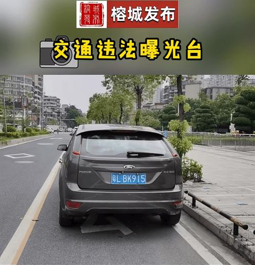 高速路上任性停车接人，理想SUV司机为何如此自私？后果竟如此严重  第12张