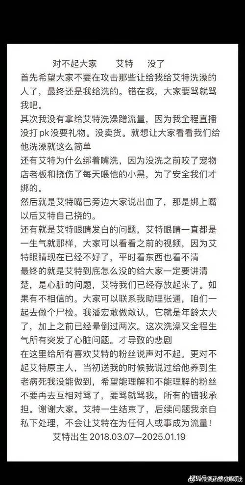 陈乔恩怒斥潘宏：艾特之死是谋杀还是意外？宠物安全谁来守护  第14张