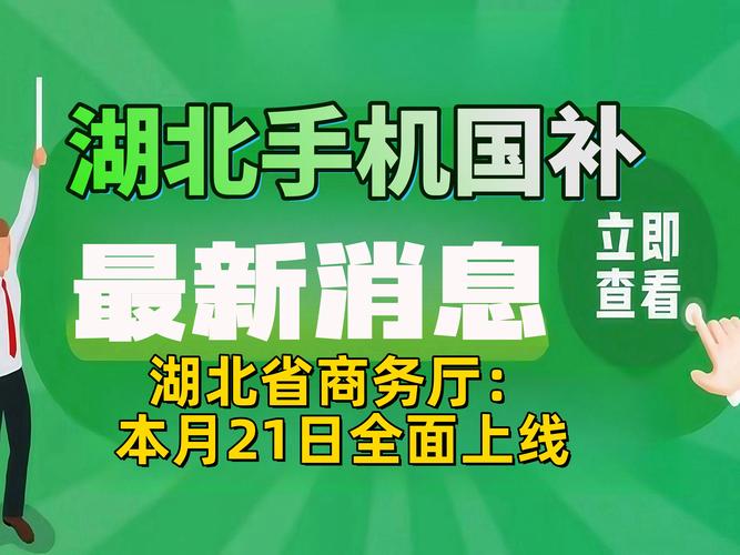 手机国补上线首日，POS机竟然崩了！你还在等什么？  第11张