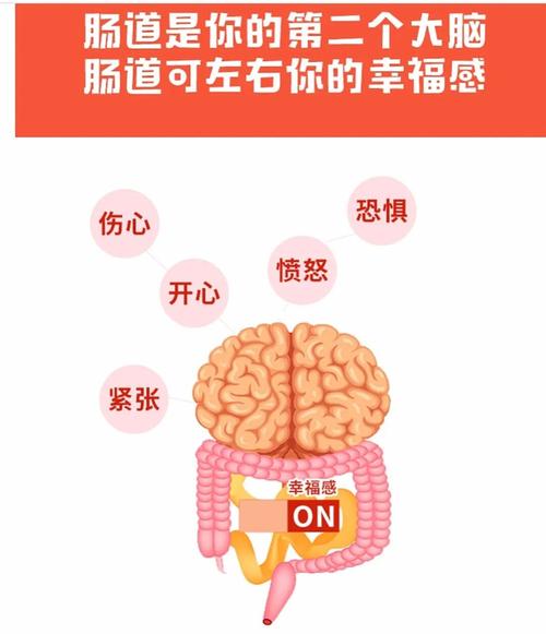 你的肠道运输时间是快还是慢？12～73小时之间最健康  第4张