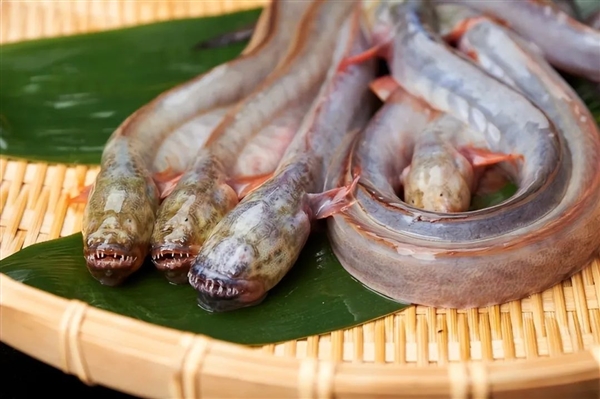 日本异形鱼饺，比英国仰望星空还黑暗？是创意还是惊吓  第5张