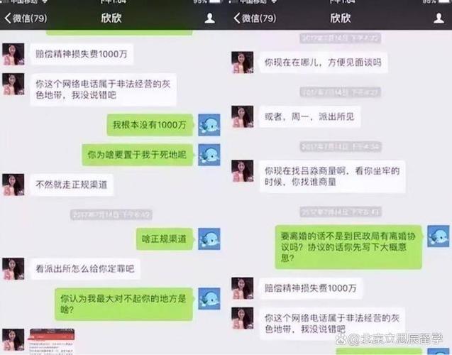 闪婚41天，悲剧收场！WePhone创始人苏享茂为何选择自杀？背后真相令人  第11张