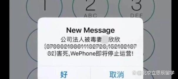 闪婚41天，悲剧收场！WePhone创始人苏享茂为何选择自杀？背后真相令人  第7张