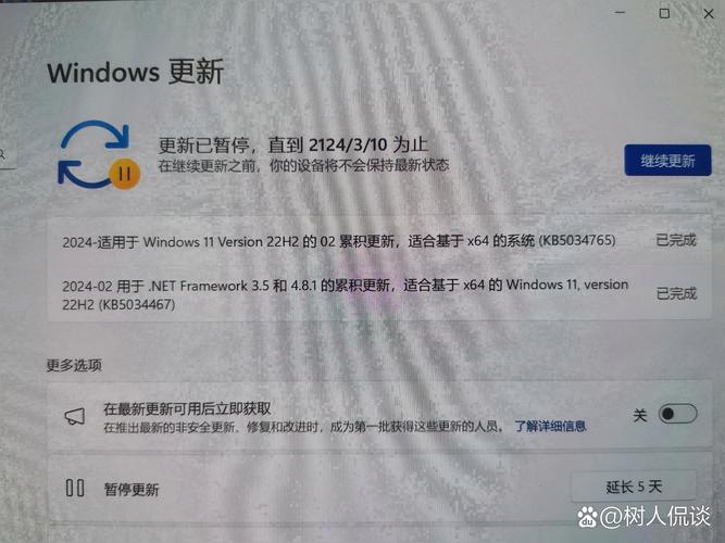 Windows 11 24H2用户注意！你的系统为何在启动后60-90秒内崩溃？  第4张