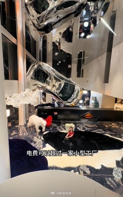 网红大蓝妻子炫富！1000平别墅年电费40万，咋做到的？  第9张