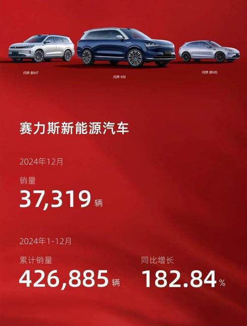 赛力斯2024年业绩暴涨300%！问界品牌爆卖背后的秘密是什么？  第5张