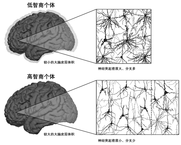 专业书籍VS网络小说：为什么一看书就犯困？揭秘背后的科学真相  第8张