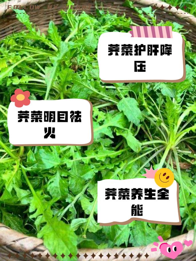 你知道吗？荠菜鲜美的秘密竟然藏在这些氨基酸里  第6张