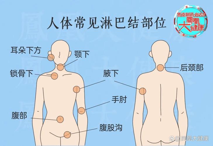 淋巴结肿大竟是癌症信号？这3个部位尤其要当心  第5张