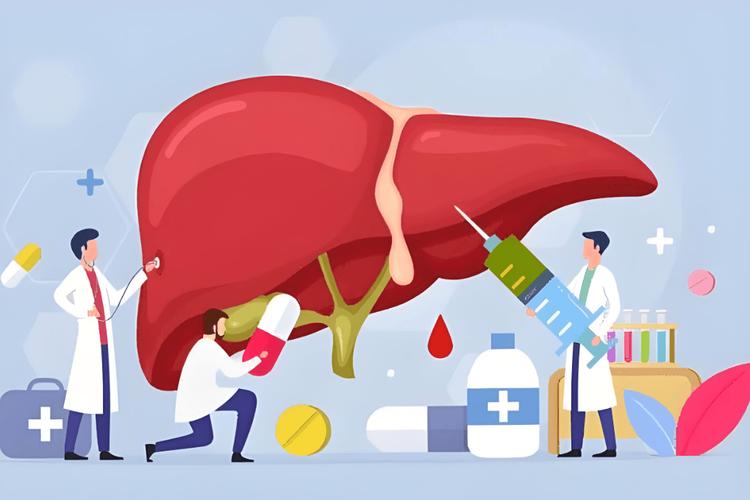 肝脏衰老竟成全身衰老推手？科学护肝刻不容缓  第3张