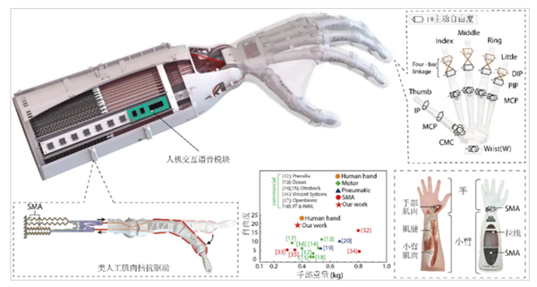 中国科大突破性研发19自由度仿生灵巧手，未来将如何改变千万截肢者的生活？  第8张