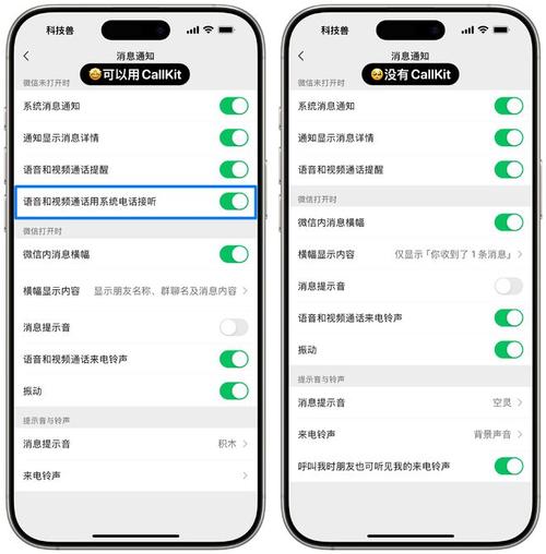 微信CallKit回归！为何网友疯狂调试只为早一秒用上？  第10张