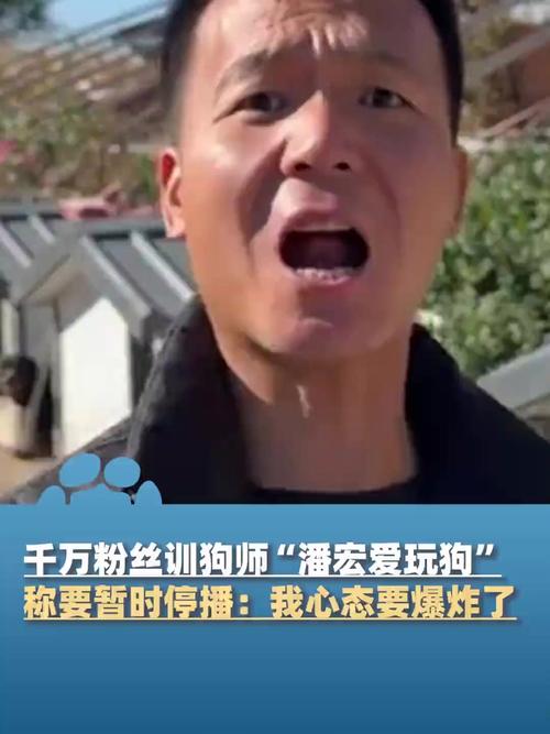 网红训狗师潘宏直播事故引发热议，高德地图语音包为何突然下架？  第12张