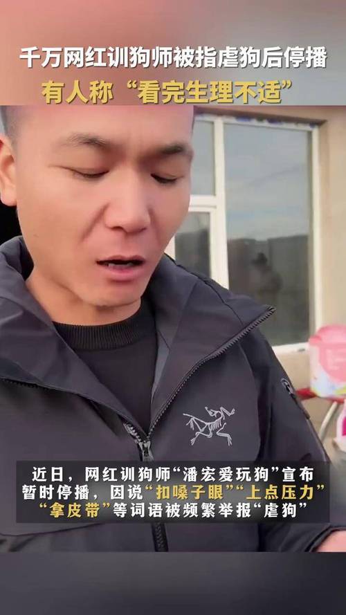 网红训狗师潘宏直播事故引发热议，高德地图语音包为何突然下架？  第15张