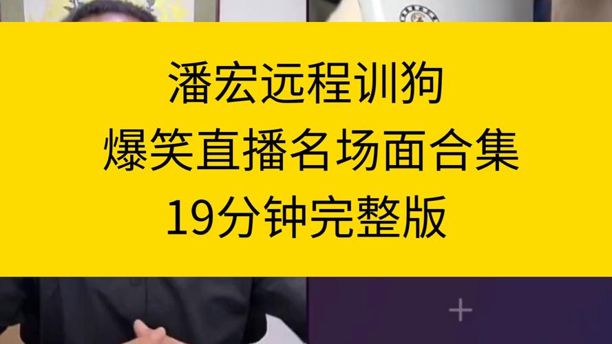 网红训狗师潘宏直播事故引发热议，高德地图语音包为何突然下架？  第3张