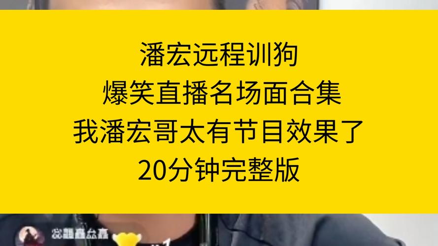 网红训狗师潘宏直播事故引发热议，高德地图语音包为何突然下架？  第6张