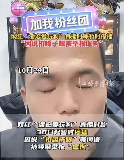 网红训狗师潘宏直播事故引发热议，高德地图语音包为何突然下架？  第10张