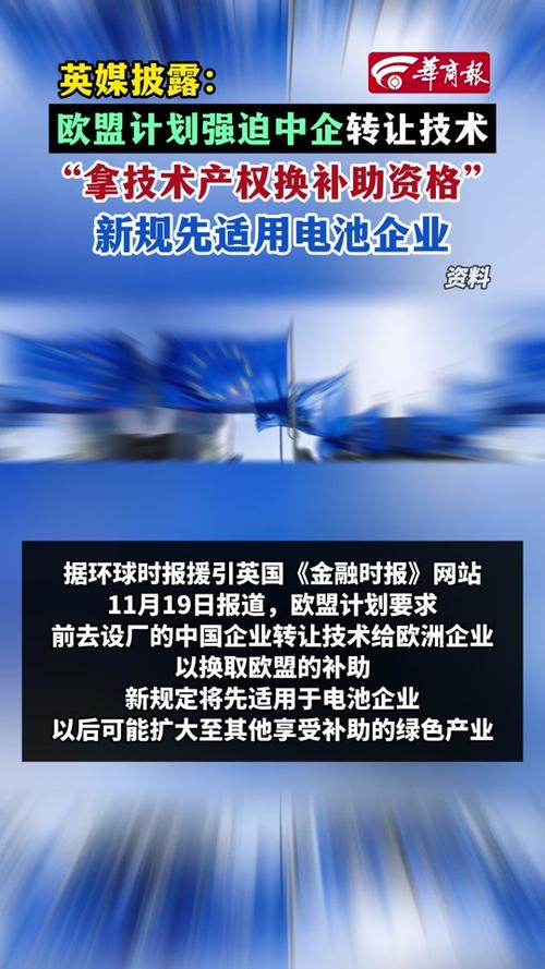 欧洲沦为组装厂？中国电池制造商的技术转让危机如何破解  第5张