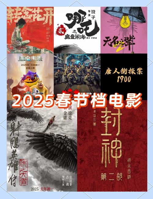 2025年春节，23家电视台为何同时播放这部藏文化纪录片？  第9张