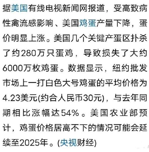 美国鸡蛋危机：为何欧洲多国拒绝援助，蛋价飙升背后的真相是什么？