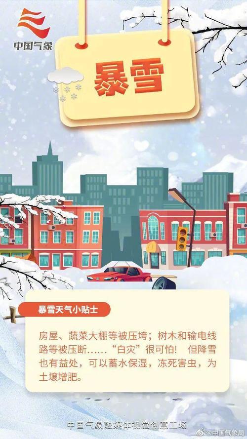 寒潮+暴雪+大雾三预警齐发！春节回家路上你准备好了吗？  第8张