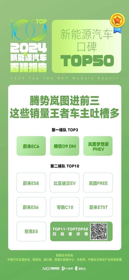 2025年1月25日，新能源车险新平台上线！你的爱车投保难题终于有解了？  第9张