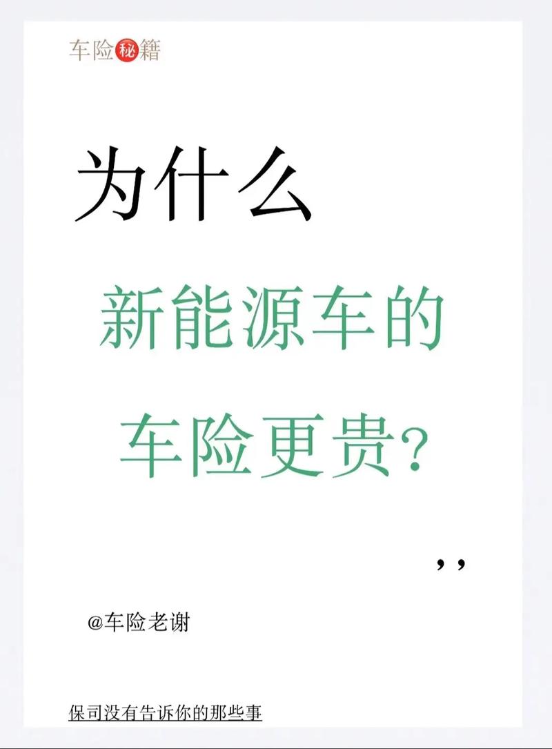 新能源车险亏损57亿！年轻车主为何成保险公司‘烫手山芋’？  第2张