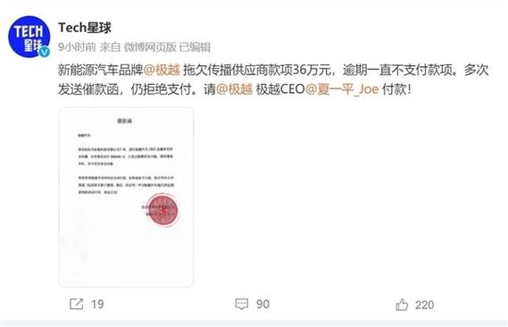 2024年造车新势力大洗牌！11家品牌为何悄然消失？极越资金危机背后隐藏了什么？  第14张