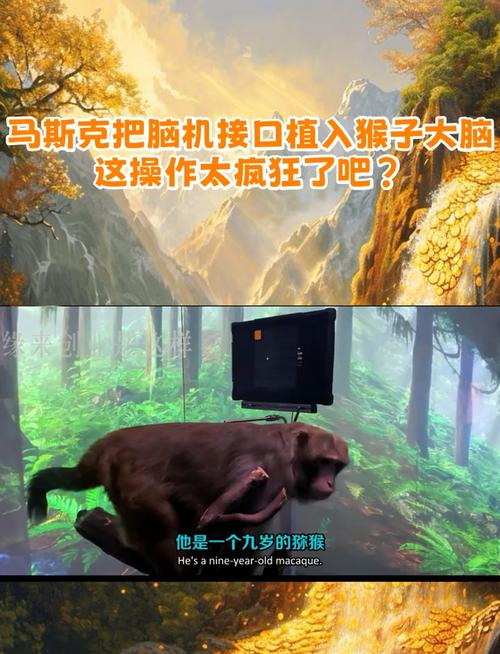 脑机接口技术即将改变世界！马斯克和扎克伯格谁将率先突破？  第12张