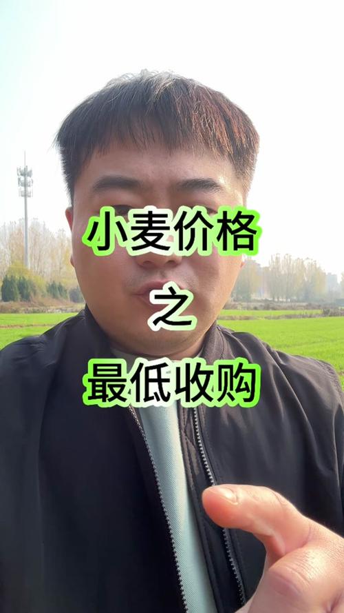 小麦便利如何通过2025设备升级方案颠覆自动售货行业？成本重构+场景适配的秘诀揭晓  第5张