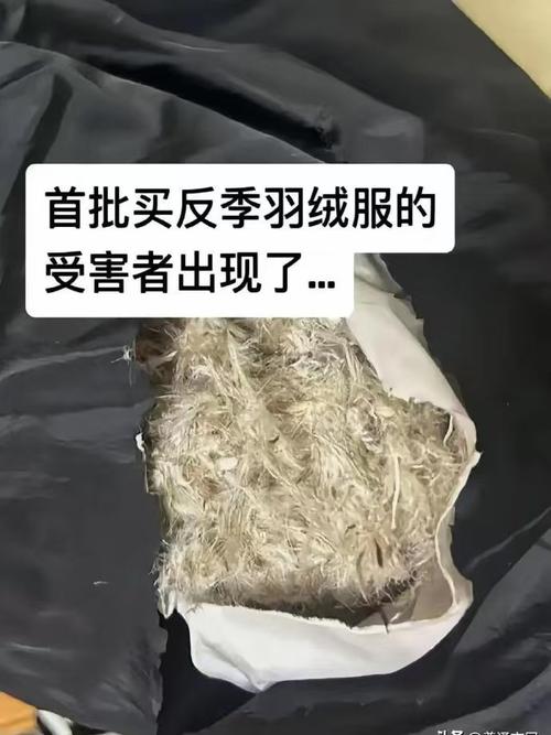 羽绒服价格飙升，假货横行！你买的羽绒服真的值这个价吗？  第4张