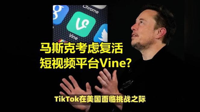 TikTok 棺材里仰卧起坐 小扎、马斯克趁乱打劫，谁能笑到最后？  第3张