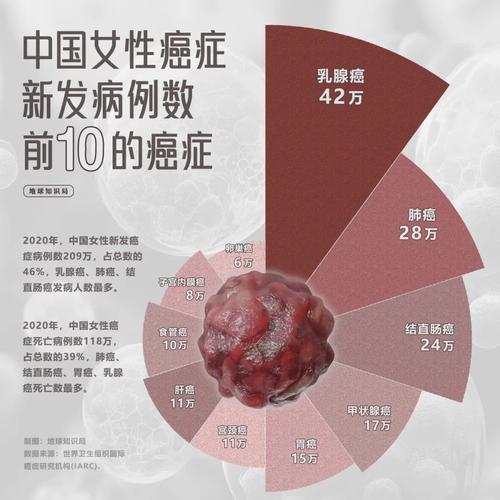 惊人预测：2050年乳腺癌新发病例将激增38%！你准备好了吗？  第3张