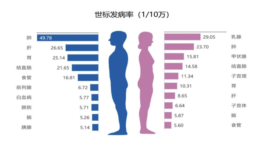 惊人预测：2050年乳腺癌新发病例将激增38%！你准备好了吗？  第5张