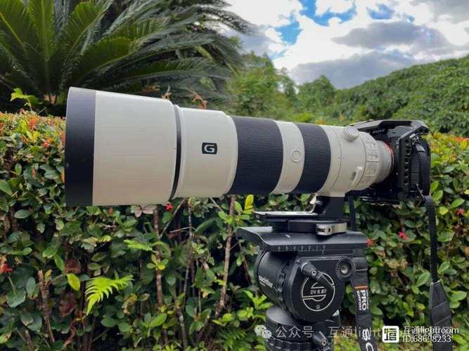 索尼新镜头FE 400-800mm F6.3-8 G OSS，1600mm焦距震撼来袭！你会入手吗？  第4张