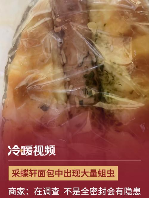 欧盟餐桌上惊现面包虫粉末，你敢尝试吗？  第6张