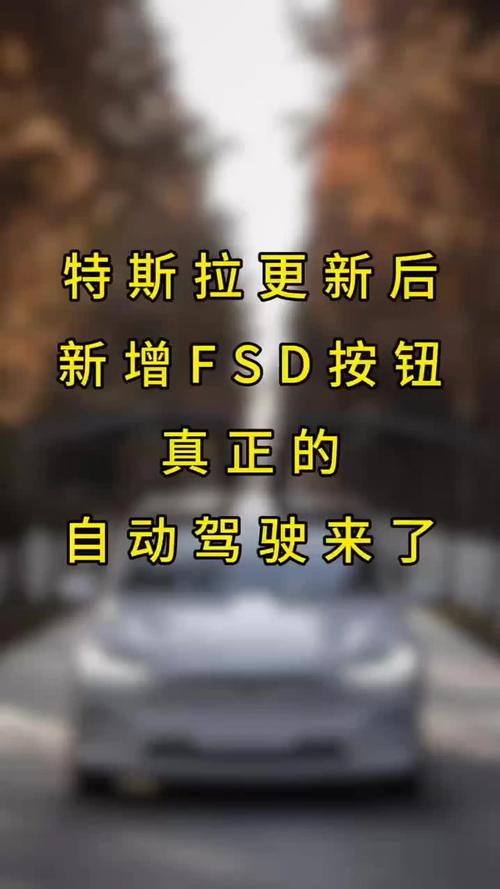 特斯拉最新软件更新，FSD功能大揭秘！你准备好体验未来驾驶了吗？  第12张