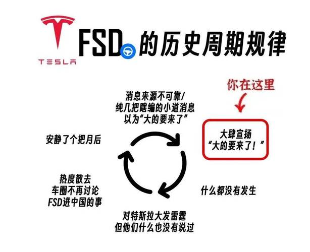 特斯拉FSD终于入华，但为何专家评价其与本土品牌差距巨大？  第6张