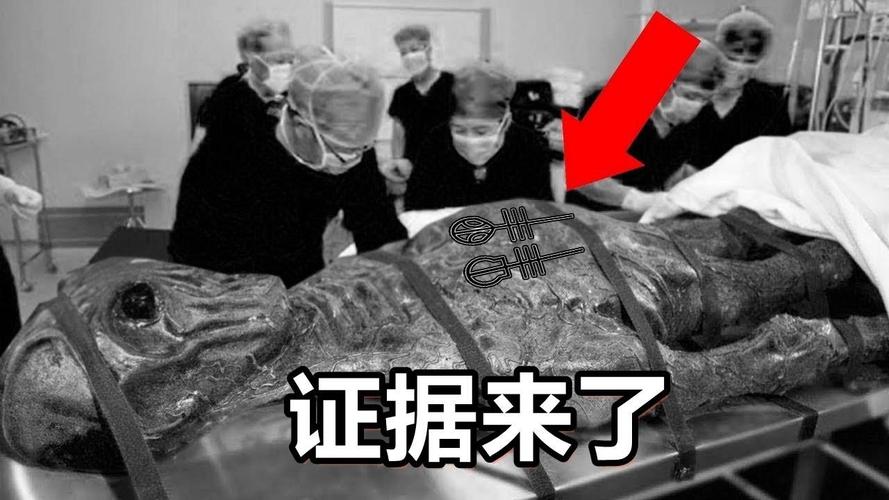 俄罗斯渔夫捕获神秘生物，难道外星人真的存在？  第15张