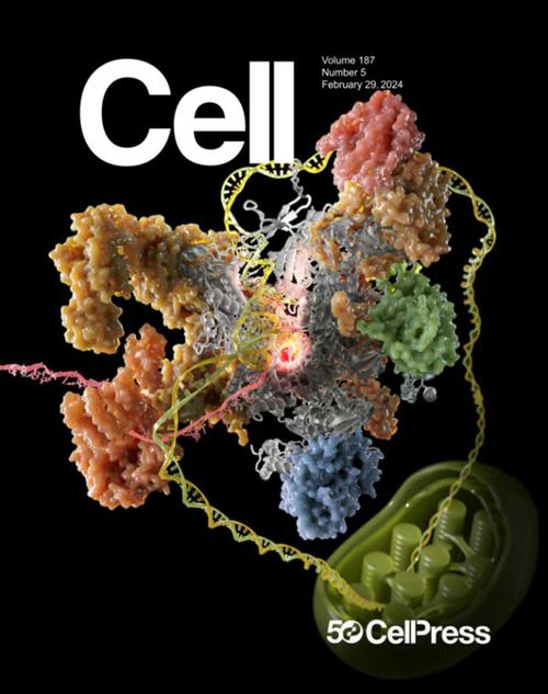 复旦团队突破性成果登上科学杂志，纳米颗粒自组装将如何改变未来科技？  第4张