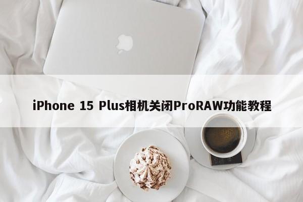 iPhone 15 Plus相机关闭ProRAW功能教程  第1张
