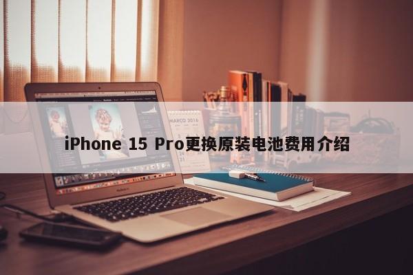 iPhone 15 Pro更换原装电池费用介绍
